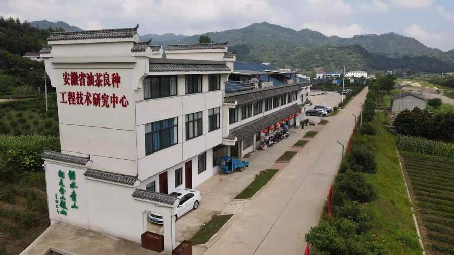 舒城河棚鎮(zhèn):安徽德昌苗木榮獲"2022年度國家知識產(chǎn)權(quán)優(yōu)勢企業(yè)