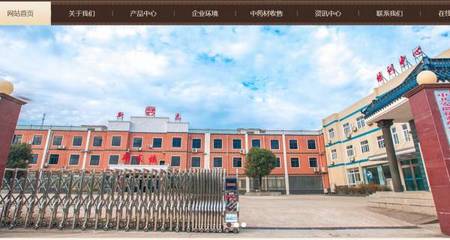 藥煥新章，智聯未來——安徽新*藥業網站創意主題設計